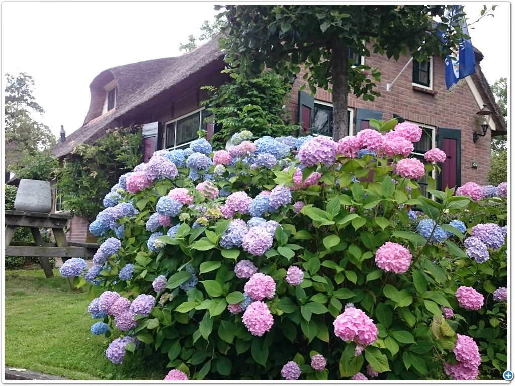 Giethoorn 3juli 2016

